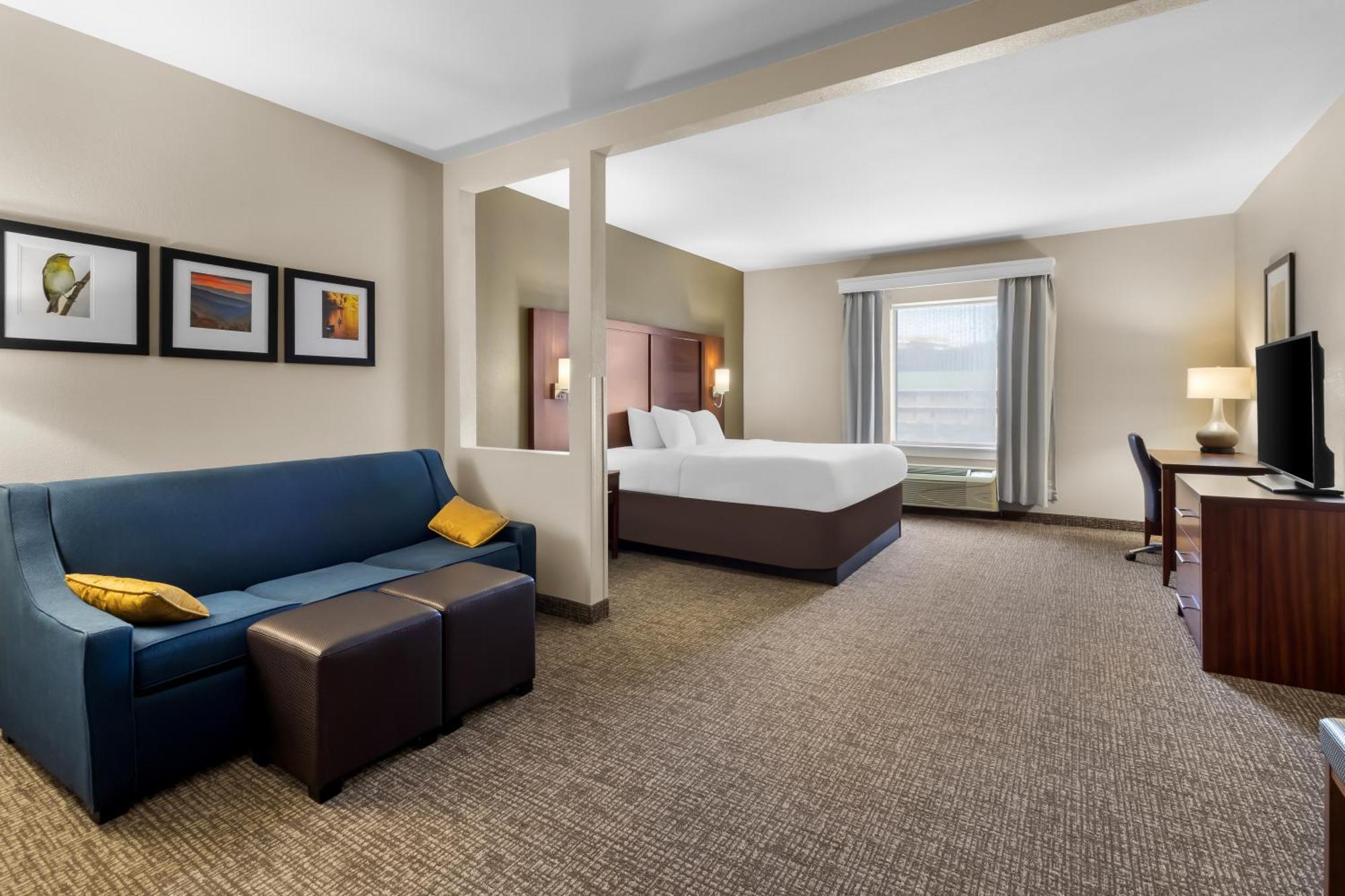 Comfort Suites At Rivergate Mall Гудлетсвилл Экстерьер фото