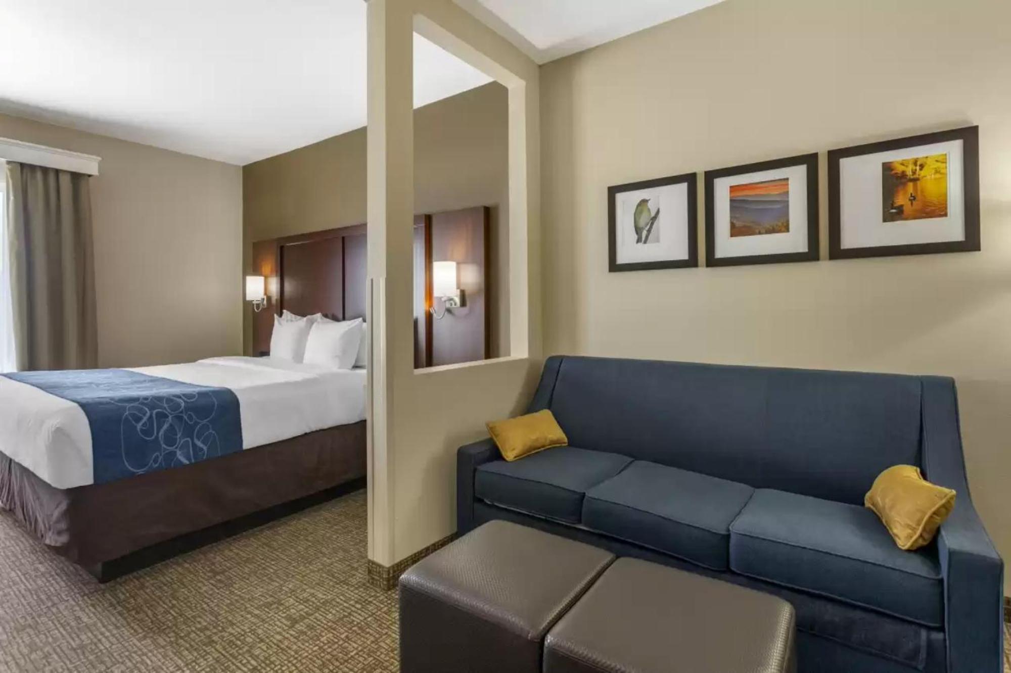 Comfort Suites At Rivergate Mall Гудлетсвилл Экстерьер фото
